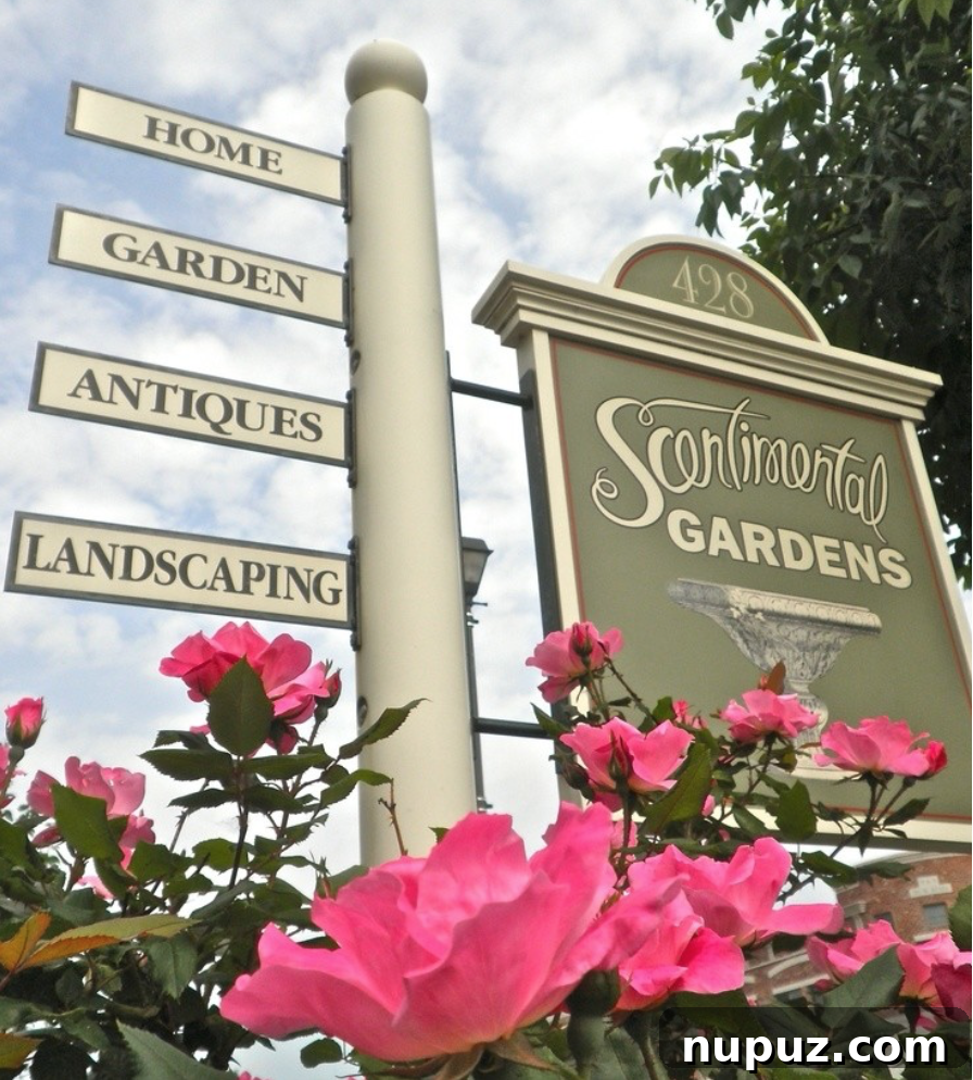 A unique display of garden antiques and vintage items at Scentimental Gardens, curated by Debra Phillips