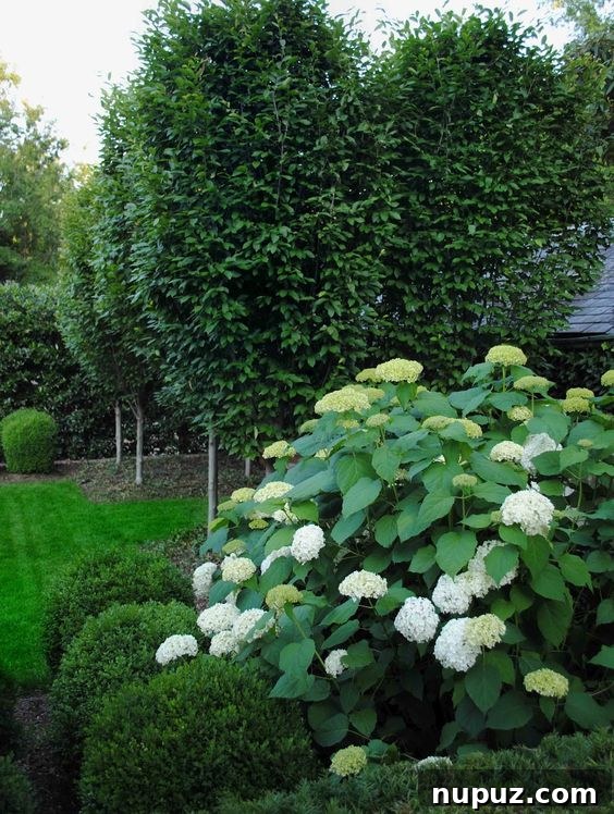 Peaceful Loi Thai Garden Design