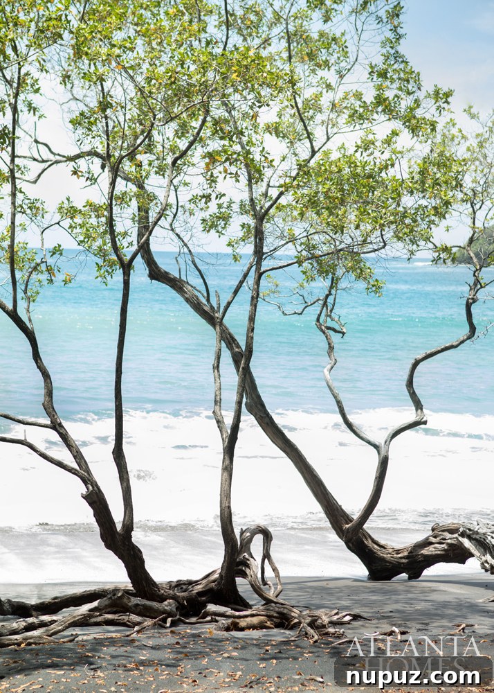 Costa Rica Dream Home Unveiled 15 Pristine sandy beach with clear blue water in Costa Rica, stretching into the horizon.