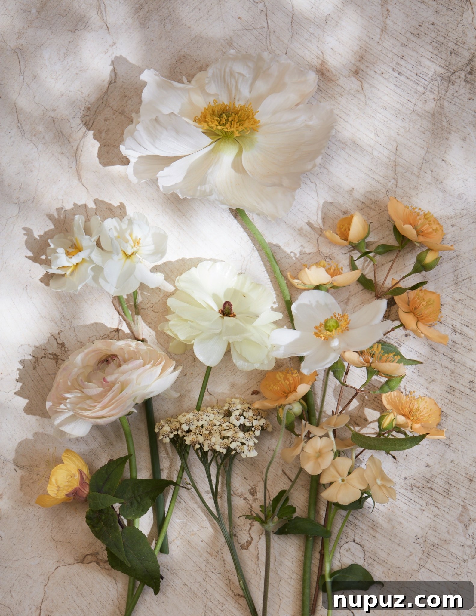Botanical Tapestry 3 In The Artistry of Flowers, floral designer Gabriela Salazar "teaches us how to look at flowers and understand their characteristics from an artist’s perspective.