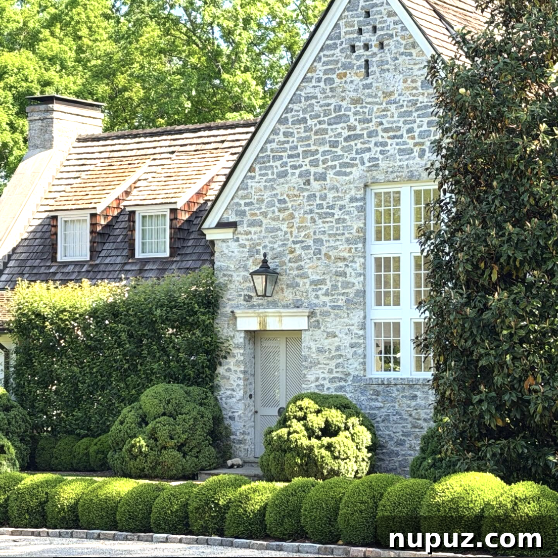 7 Homes Where Boxwoods Command the Landscape 2 Classic white home with meticulously trimmed boxwood hedges lining the walkway and front entrance, creating stunning curb appeal.
