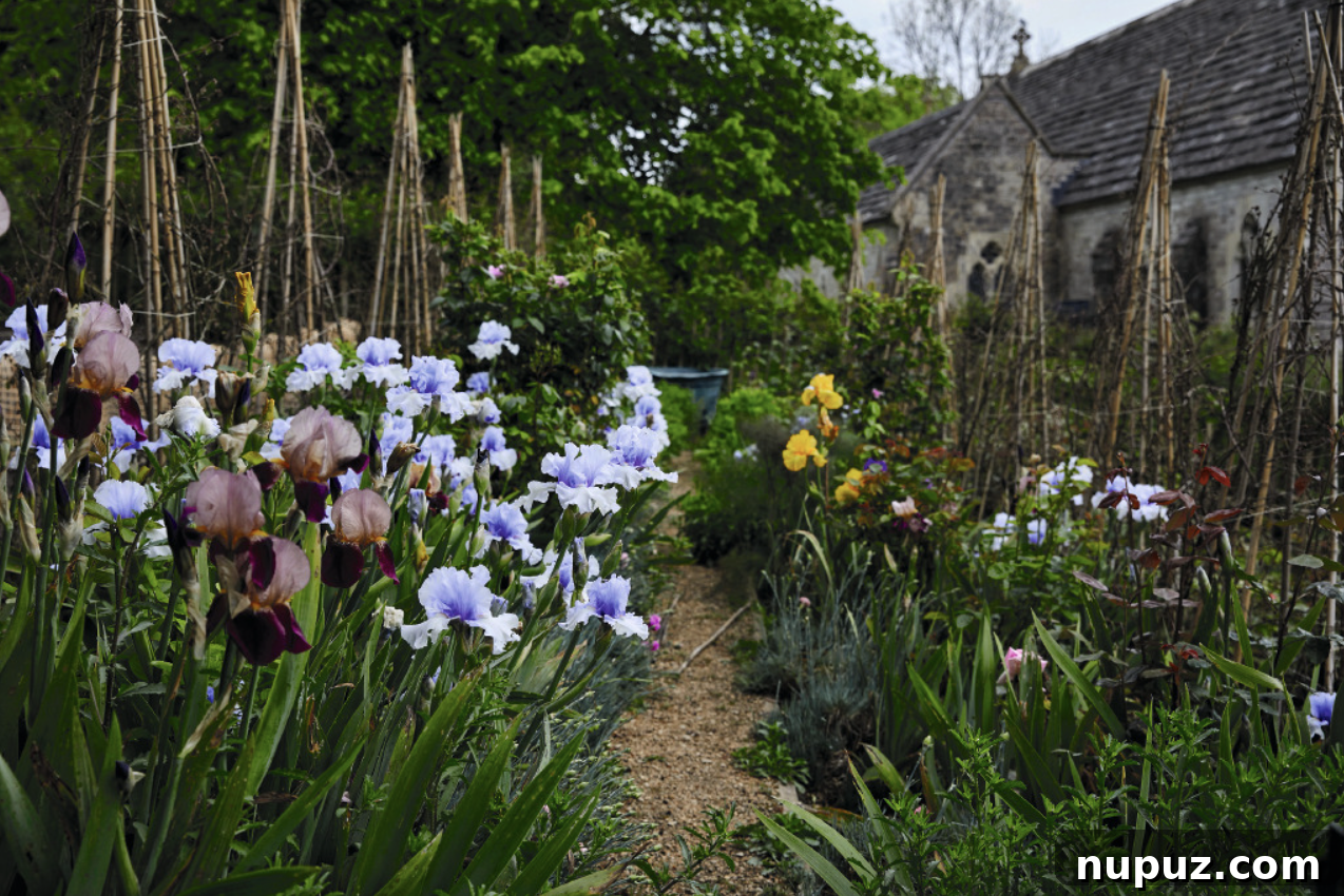 Inside Ben Pentreath's Stylish Home and Interior Design 8 Seasonal planting and garden detail